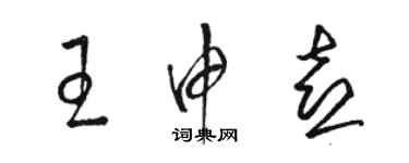 骆恒光王申喜草书个性签名怎么写