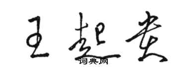 骆恒光王起贵草书个性签名怎么写
