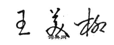 骆恒光王美柳草书个性签名怎么写