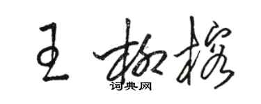 骆恒光王柳榕草书个性签名怎么写