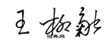 骆恒光王柳融草书个性签名怎么写