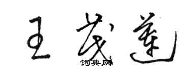 骆恒光王茂莲草书个性签名怎么写