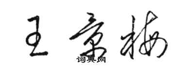 骆恒光王景梅草书个性签名怎么写