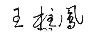骆恒光王柱凤草书个性签名怎么写