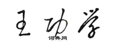 骆恒光王功学草书个性签名怎么写