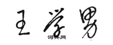 骆恒光王学男草书个性签名怎么写