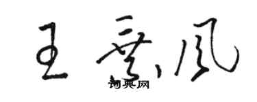 骆恒光王乘风草书个性签名怎么写