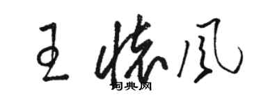 骆恒光王怀风草书个性签名怎么写