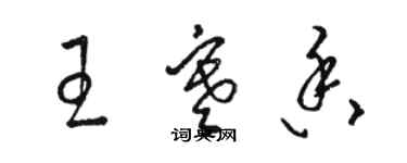 骆恒光王寒香草书个性签名怎么写
