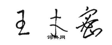 骆恒光王才密草书个性签名怎么写
