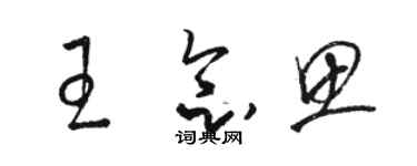 骆恒光王念思草书个性签名怎么写