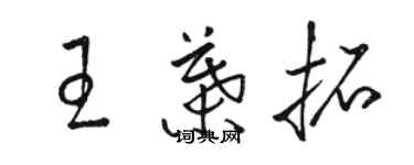 骆恒光王叶拓草书个性签名怎么写
