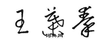 骆恒光王叶秦草书个性签名怎么写