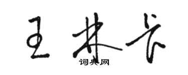 骆恒光王林卡草书个性签名怎么写