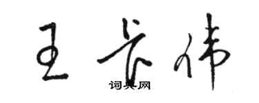 骆恒光王卡伟草书个性签名怎么写