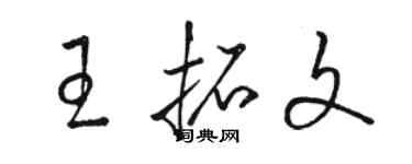 骆恒光王拓文草书个性签名怎么写