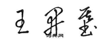 骆恒光王开基草书个性签名怎么写