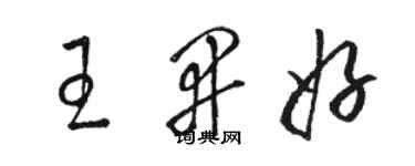 骆恒光王开好草书个性签名怎么写
