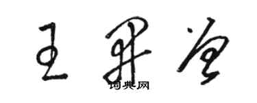 骆恒光王开曾草书个性签名怎么写