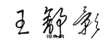 骆恒光王舒影草书个性签名怎么写