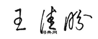 骆恒光王佳盼草书个性签名怎么写