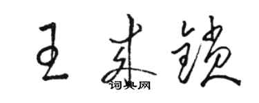 骆恒光王来锁草书个性签名怎么写