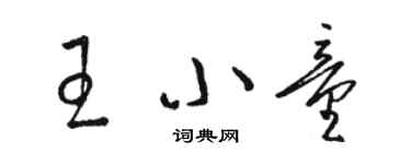 骆恒光王小童草书个性签名怎么写
