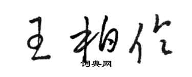 骆恒光王柏伶草书个性签名怎么写
