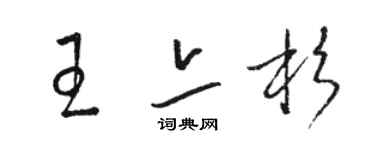 骆恒光王亦杉草书个性签名怎么写