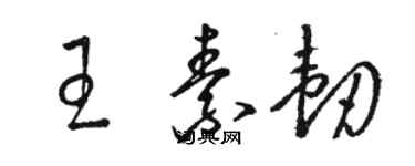 骆恒光王素韧草书个性签名怎么写