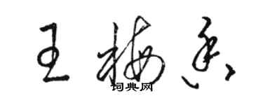 骆恒光王梅香草书个性签名怎么写