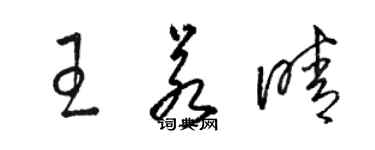 骆恒光王若晴草书个性签名怎么写