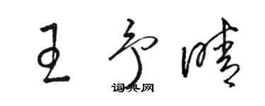 骆恒光王予晴草书个性签名怎么写