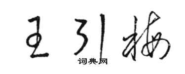 骆恒光王引梅草书个性签名怎么写