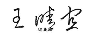 骆恒光王晴宜草书个性签名怎么写