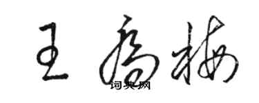 骆恒光王乔梅草书个性签名怎么写