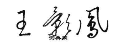 骆恒光王影凤草书个性签名怎么写