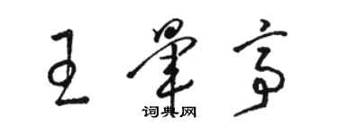 骆恒光王晕亭草书个性签名怎么写