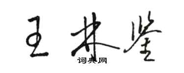 骆恒光王林鉴草书个性签名怎么写