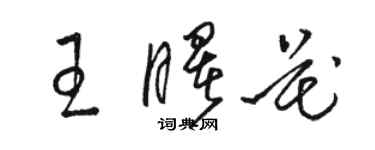 骆恒光王曙花草书个性签名怎么写