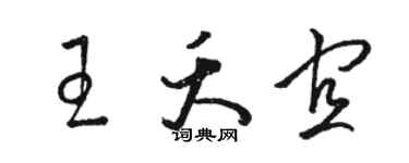 骆恒光王夭宜草书个性签名怎么写