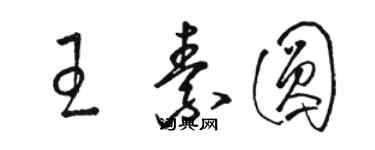 骆恒光王素圆草书个性签名怎么写