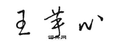 骆恒光王芋心草书个性签名怎么写