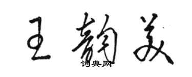 骆恒光王韵美草书个性签名怎么写