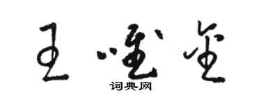 骆恒光王唯金草书个性签名怎么写
