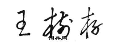 骆恒光王树存草书个性签名怎么写