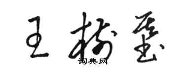 骆恒光王树基草书个性签名怎么写