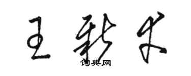 骆恒光王新幸草书个性签名怎么写