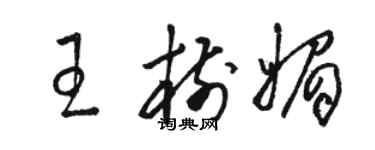 骆恒光王树媚草书个性签名怎么写