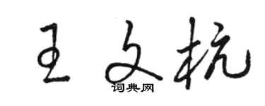 骆恒光王文杭草书个性签名怎么写